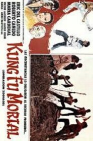 Kung fu mortal: Operación zodiaco 1987 on netflix