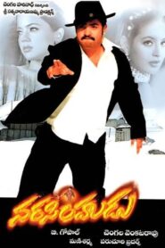 Narasimhudu 2005 on netflix