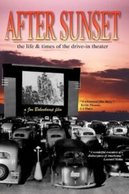 After Sunset: The Life & Times of the Drive-In Theater 1995 on netflix