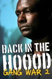 Back in the Hood: Gang War 2 2004 on netflix