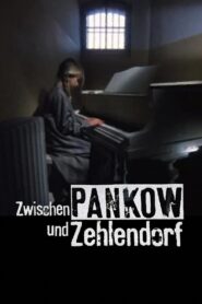 Zwischen Pankow und Zehlendorf 1991 on netflix