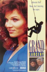 Grand Larceny 1987 on netflix
