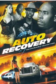 Auto Recovery 2008 on netflix