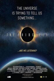 The Principle 2014 on netflix