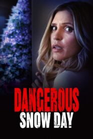 Dangerous Snow Day 2021 on netflix