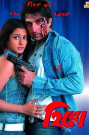 Hero 2006 on netflix
