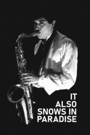 It Also Snows in Paradise 1994 on netflix