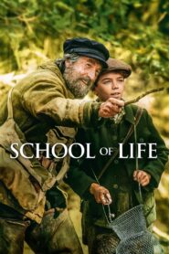School of Life 2017 on netflix