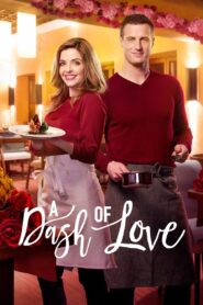 A Dash of Love 2017 on netflix