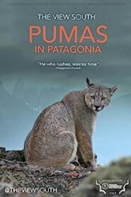 Pumas in Patagonia 2019 on netflix