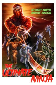 The Ultimate Ninja 1986 on netflix