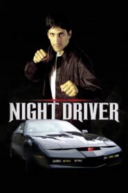 Night Driver 2005 on netflix
