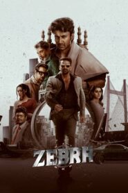 Zebra 2024 on netflix