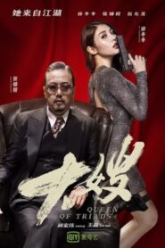 Queen of Triads 2017 on netflix