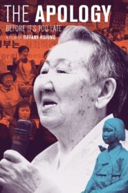 The Apology 2016 on netflix