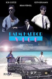 Palm Harbor Vice 1991 on netflix