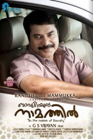Bavuttiyude Namathil 2012 on netflix