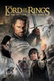 The Lord of the Rings: The Return of the King 2003 on netflix