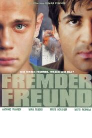The Friend 2003 on netflix