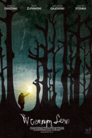 Into the Dark Woods 2013 on netflix