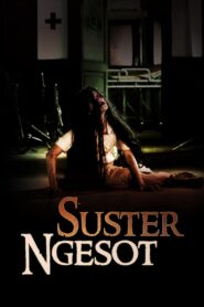The Dead Nurse 2007 on netflix