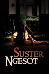The Dead Nurse 2007 on netflix