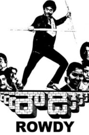 Rowdy 1984 on netflix