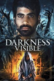 Darkness Visible 2019 on netflix