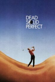 Dead Solid Perfect 1988 on netflix
