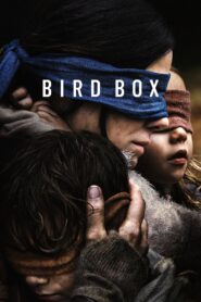 Bird Box 2018 on netflix