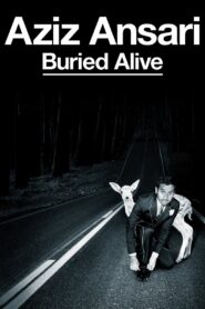 Aziz Ansari: Buried Alive 2013 on netflix