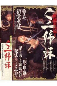 Ninja Sisters 1994 on netflix
