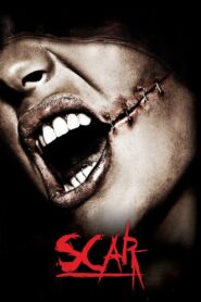 Scar 2007 on netflix
