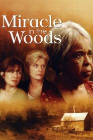Miracle in the Woods 1997 on netflix