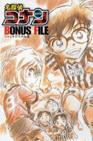 Detective Conan Bonus File 1: Flower of Fantasista 2012 on netflix