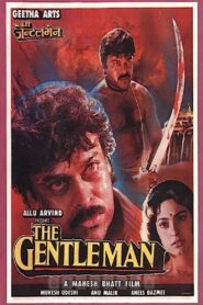 The Gentleman 1994 on netflix