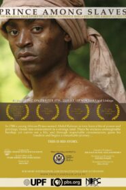 Prince Among Slaves 2008 on netflix