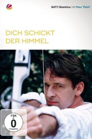 Dich schickt der Himmel 2001 on netflix