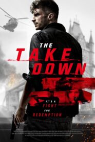 The Take Down 2019 on netflix
