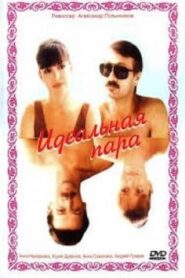The Ideal Couple 1992 on netflix