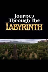 Journey Through the Labyrinth 2007 on netflix