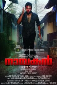 Nayakan 2010 on netflix