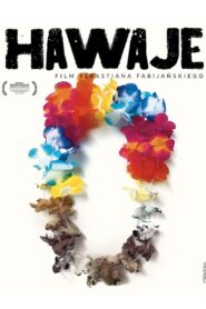 Hawaii 2023 on netflix