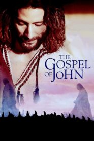 The Gospel of John 2003 on netflix