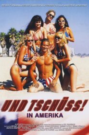 Und tschüss! In Amerika 1996 on netflix