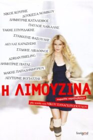 The Limousine 2014 on netflix