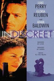 Indiscreet 1998 on netflix