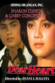 Dear Heart 1981 on netflix