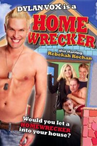 Homewrecker 2009 on netflix