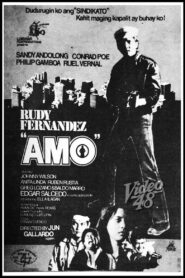 Amo 1982 on netflix